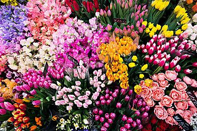 索尼计划每年推出一部以上新IP游戏迎接年末商战 另推革新性游戏